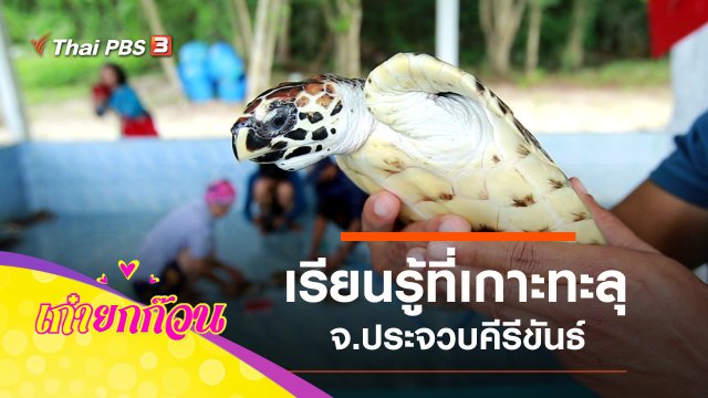 วัยเก๋าเรียนรู้ที่เกาะทะลุ จ.ประจวบคีรีขันธ์