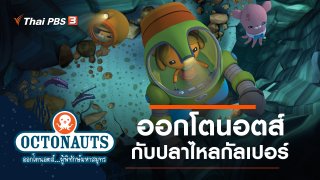 ออกโตนอตส์...ผู้พิทักษ์มหาสมุทร ออกโตนอตส์กับปลาไหลกัลเปอร์