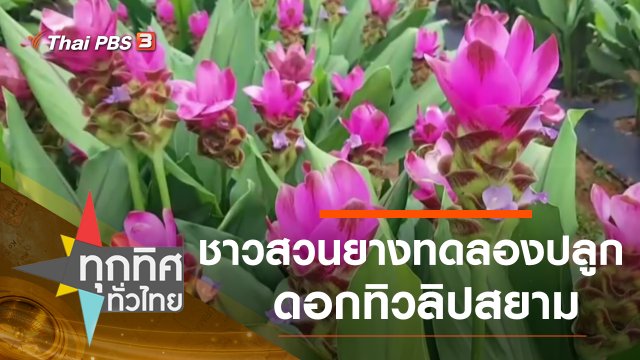 ประเด็นข่าว (2 ต.ค. 63)