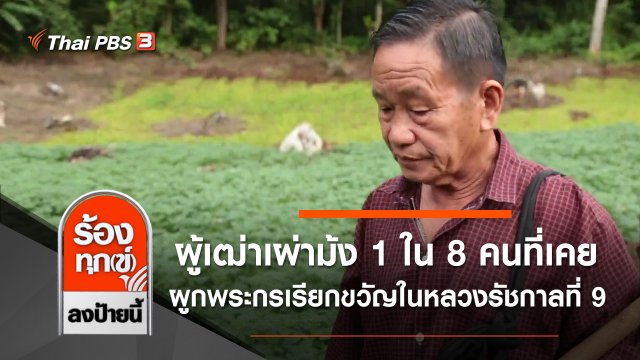 ผู้เฒ่าเผ่าม้ง 1 ใน 8 คนที่เคยผูกพระกรเรียกขวัญในหลวงรัชกาลที่ 9