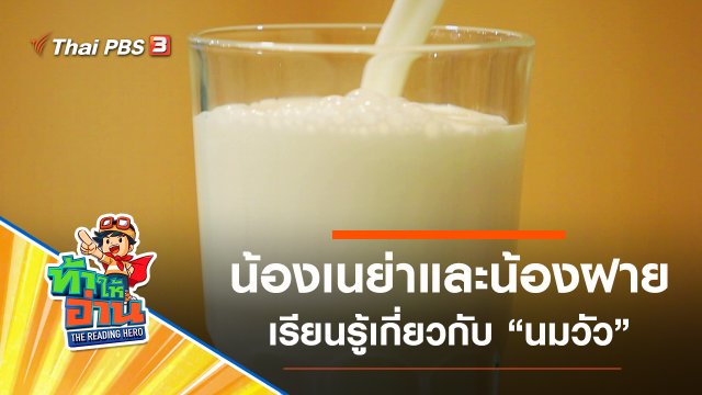 นมวัว : น้องเนย่าและน้องฝาย