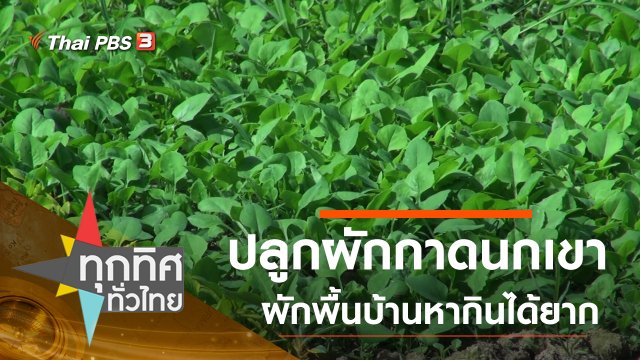 ประเด็นข่าว (2 พ.ย. 63)