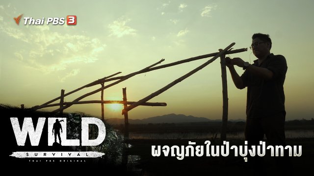 ผจญภัยในป่าบุ่งป่าทาม
