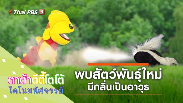 พบสัตว์พันธุ์ใหม่