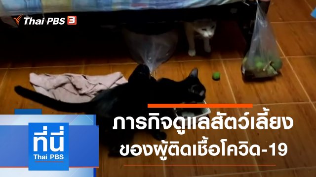 ประเด็นข่าว (19 พ.ค. 64)