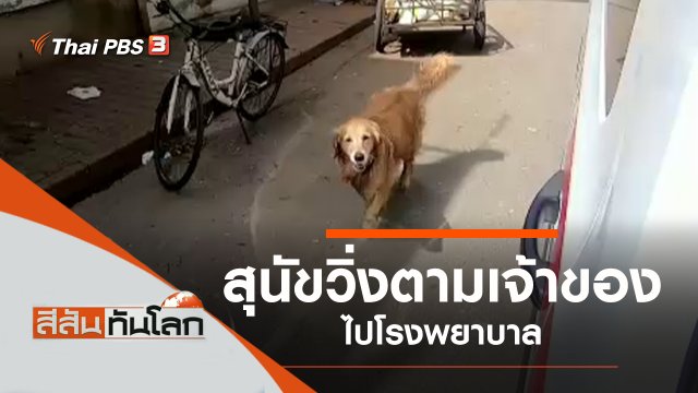 ประเด็นข่าว (12 มิ.ย. 64)