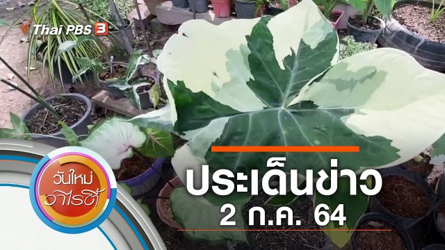 ประเด็นข่าว (2 ก.ค. 64)