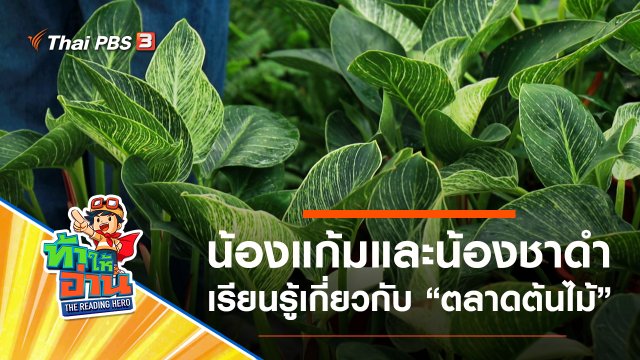 ตลาดต้นไม้ : น้องแก้มและน้องชาดำ