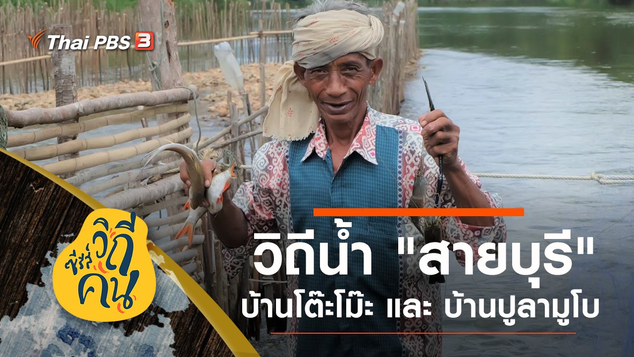 ซีรีส์วิถีคน - วิถีน้ำ "สายบุรี" บ้านโต๊ะโม๊ะ และ บ้านปูลามูโบ