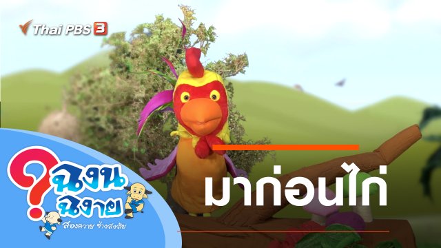 มาก่อนไก่