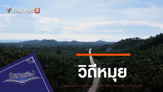 วิถีหมุย