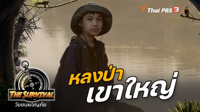 หลงป่า เขาใหญ่