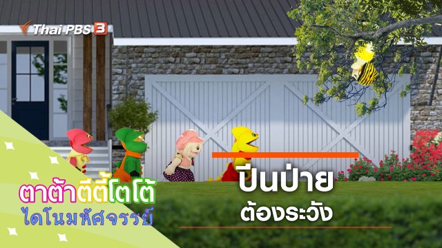 ปีนป่ายต้องระวัง