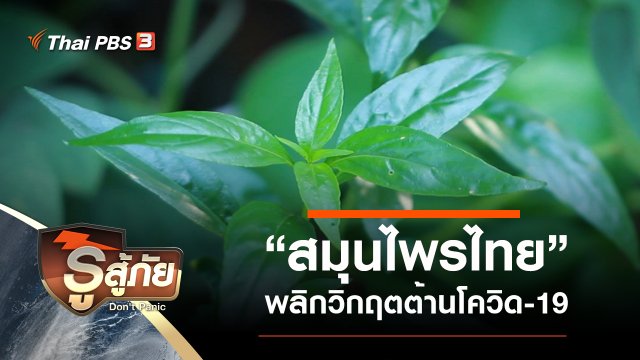 “สมุนไพรไทย” พลิกวิกฤตต้านโควิด-19