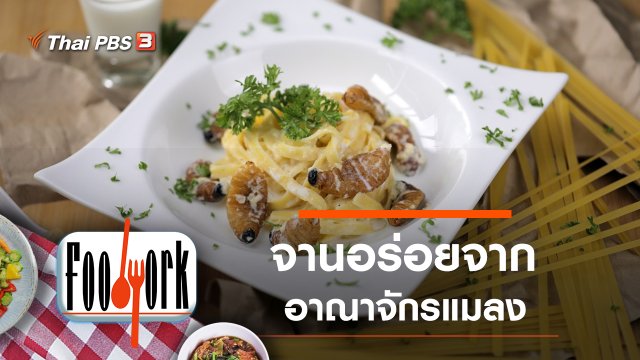 แมลงดานา แมลงมัน แมลงกระชอน ด้วงสาคู