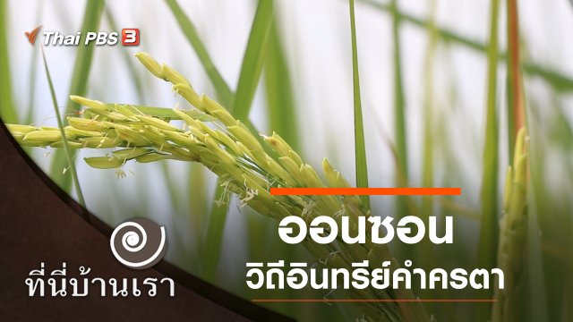 ออนซอน วิถีอินทรีย์คำครตา
