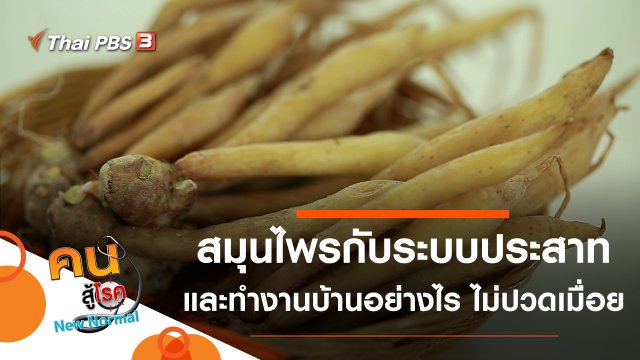 สมุนไพรกับระบบประสาท, ทำงานบ้านอย่างไร ไม่ให้ปวดเมื่อย