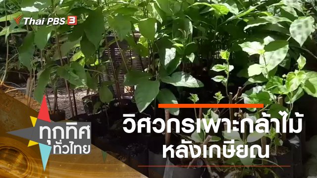 วิศวกรเพาะกล้าไม้หลังเกษียณ