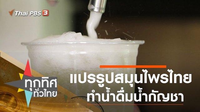 แปรรูปสมุนไพรไทยทำน้ำดื่มน้ำกัญชา