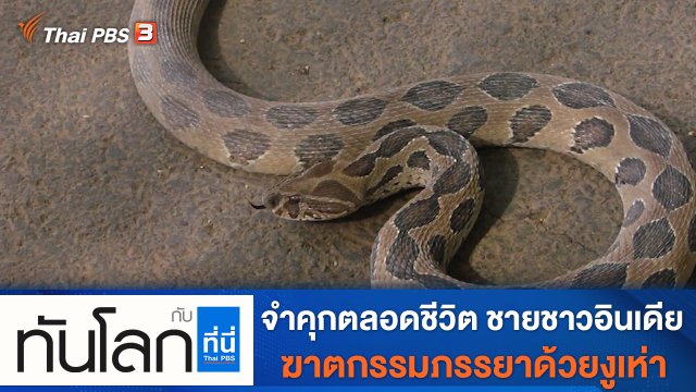 ประเด็นข่าว (22 พ.ย. 64)