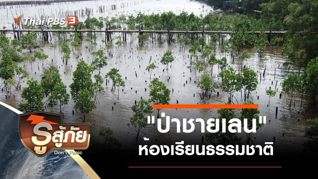 "ป่าชายเลน" ห้องเรียนธรรมชาติ