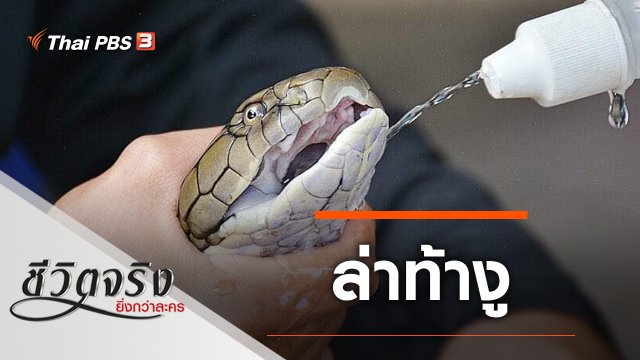 ล่าท้างู