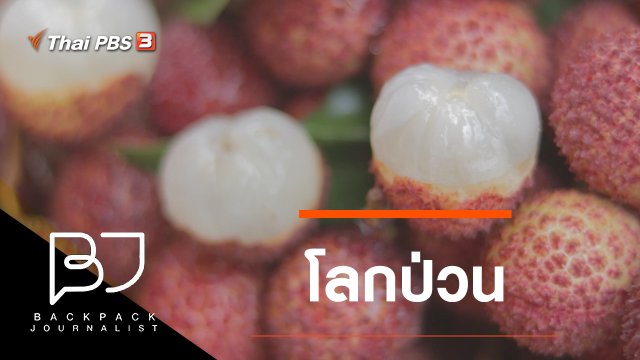 โลกป่วน