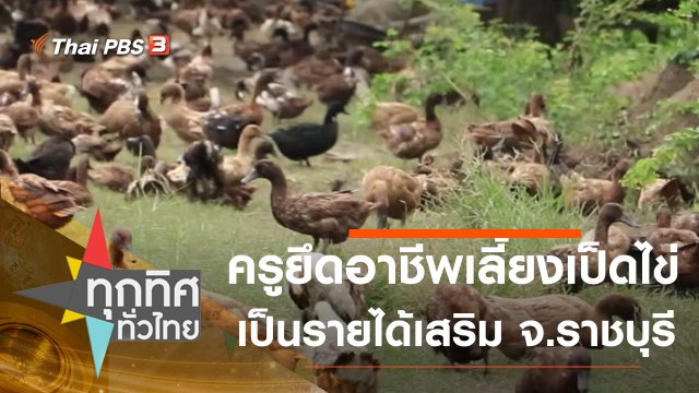 ครูยึดอาชีพเลี้ยงเป็ดไข่เป็นรายได้เสริม จ.ราชบุรี