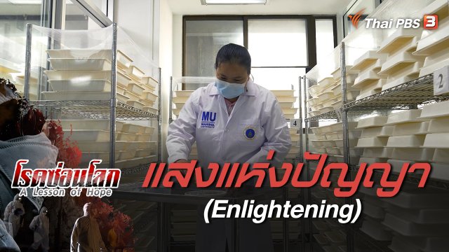 A Lesson of Hope : แสงแห่งปัญญา (Enlightening)