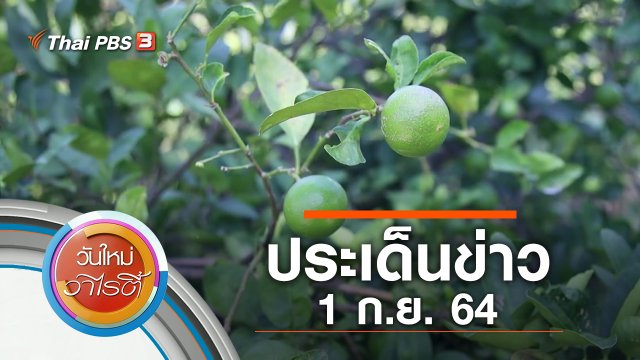ประเด็นข่าว (1 ก.ย. 64)