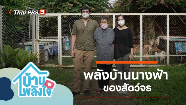 พลังบ้านนางฟ้าของสัตว์จร