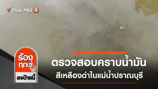 ตรวจสอบคราบน้ำมันสีเหลืองดำในแม่น้ำปราณบุรี จ.ประจวบคีรีขันธ์