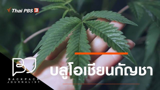 บลูโอเชียนกัญชา