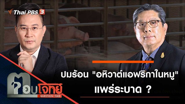 ปมร้อน "อหิวาต์แอฟริกาในหมู" แพร่ระบาด ?