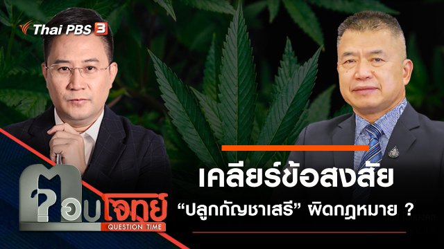 เคลียร์ข้อสงสัย “ปลูกกัญชาเสรี” ผิดกฎหมาย ?