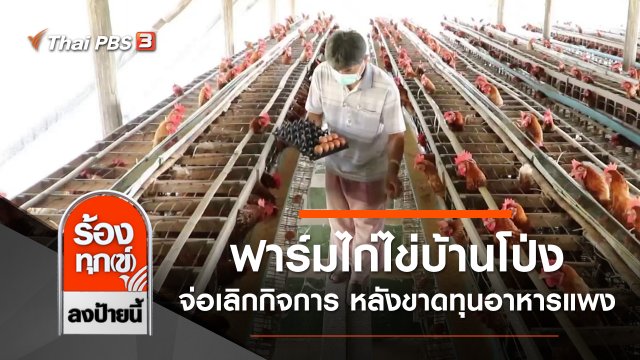ฟาร์มไก่ไข่บ้านโป่ง จ่อเลิกกิจการ หลังขาดทุนค่าอาหารแพง จ.ราชบุรี