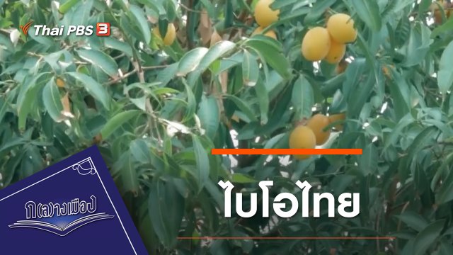 ไบโอไทย