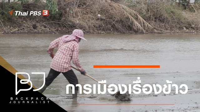 การเมืองเรื่องข้าว