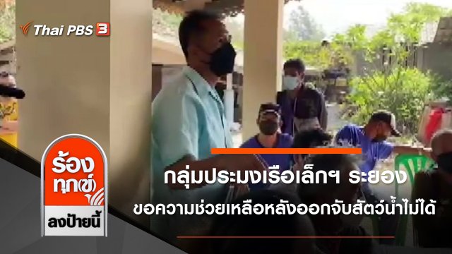 กลุ่มประมงเรือเล็กฯ ระยอง ขอความช่วยเหลือหลังออกจับสัตว์น้ำไม่ได้