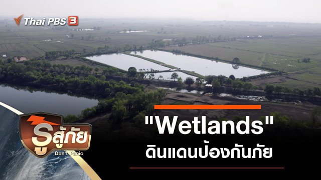 "Wetlands" ดินแดนป้องกันภัย