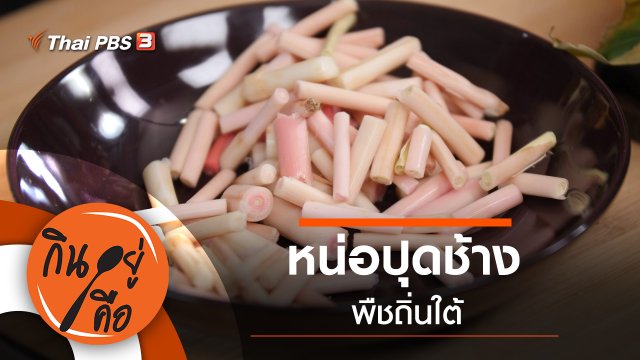 หน่อปุดช้างพืชถิ่นใต้