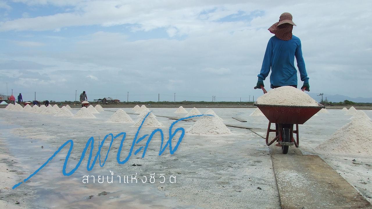 บางปะกง สายน้ำแห่งชีวิต - สารคดี บางปะกง...สายน้ำแห่งชีวิต
