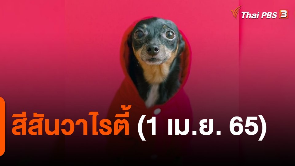 ​สีสันวาไรตี้ (1 เม.ย. 65)