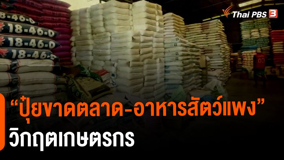 "ปุ๋ยขาดตลาด-อาหารสัตว์แพง" วิกฤตเกษตรกร