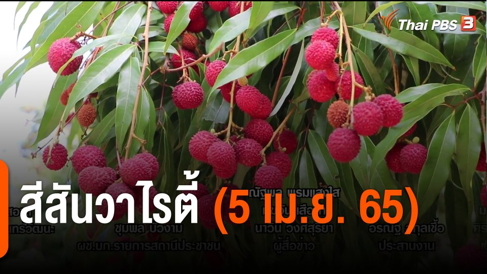 สีสันวาไรตี้ (5 เม.ย. 65)