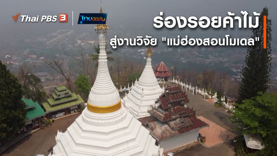 เรื่องนี้มีตำนาน : ร่องรอยค้าไม้สู่งานวิจัย "แม่ฮ่องสอนโมเดล"