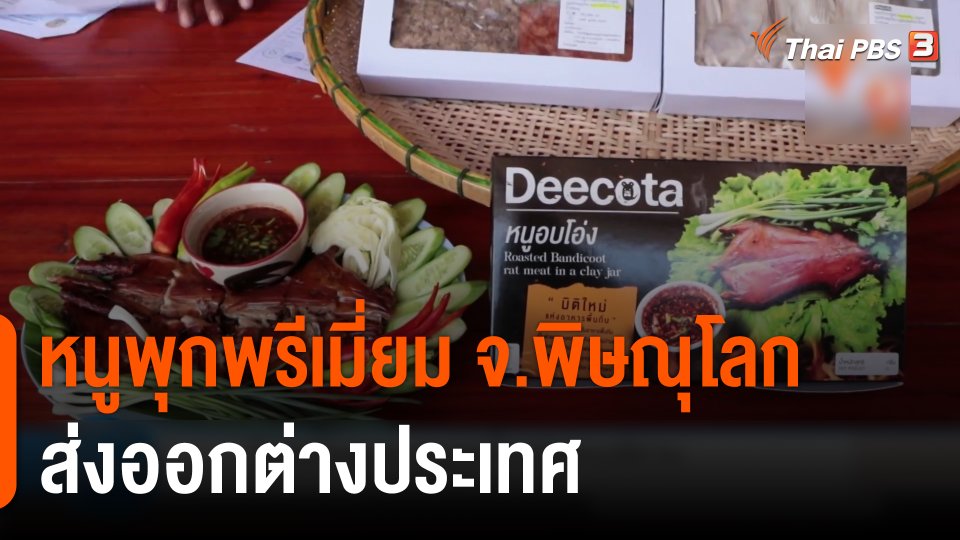 หนูพุกพรีเมี่ยม จ.พิษณุโลก ส่งออกต่างประเทศ