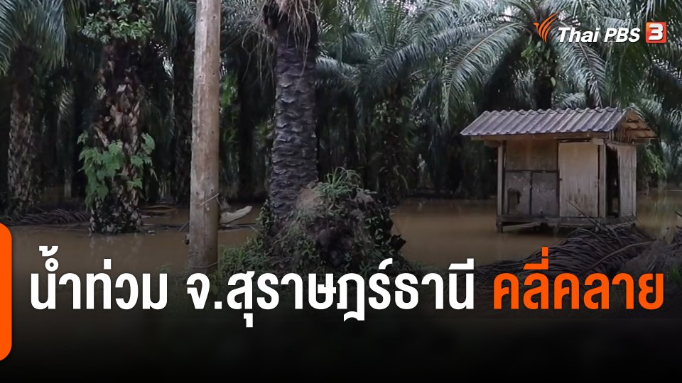 น้ำท่วม จ.สุราษฎร์ธานี คลี่คลาย