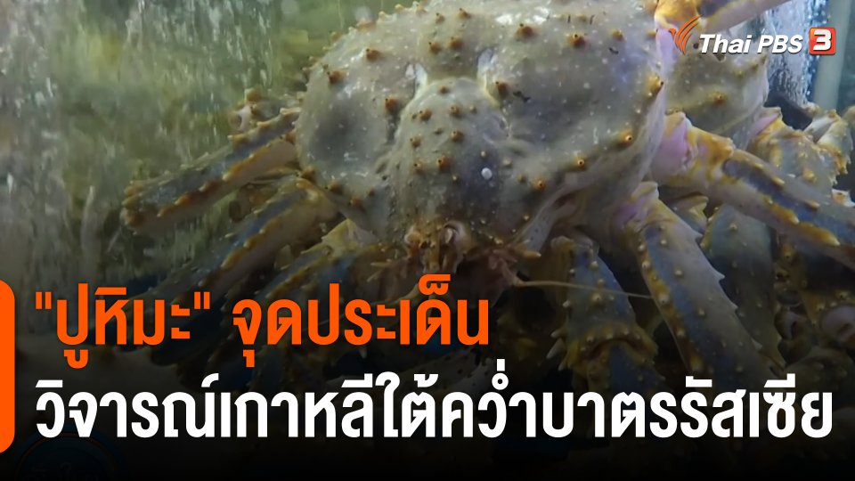 "ปูหิมะ" จุดประเด็นวิจารณ์เกาหลีใต้คว่ำบาตรรัสเซีย