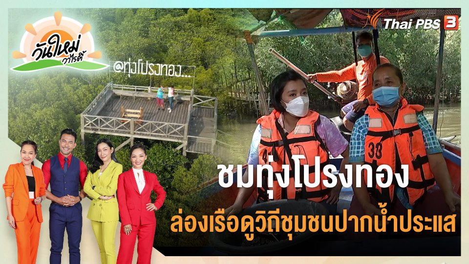 ชมทุ่งโปรงทอง ล่องเรือดูวิถีชุมชนปากน้ำประแส